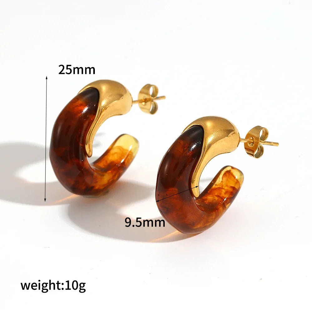 Sovict Brown Resin Geo Earrings