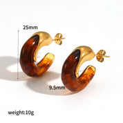 Sovict Brown Resin Geo Earrings