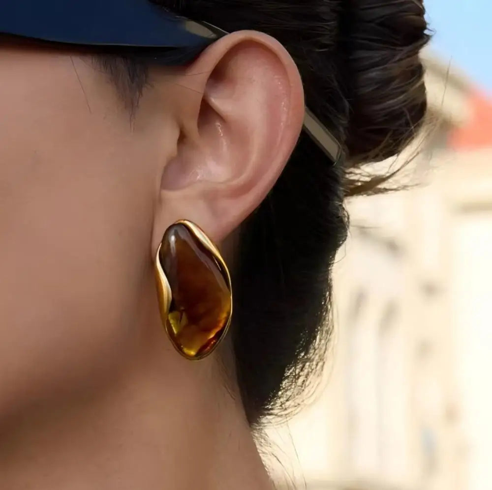 Sovict Brown Resin Geo Earrings