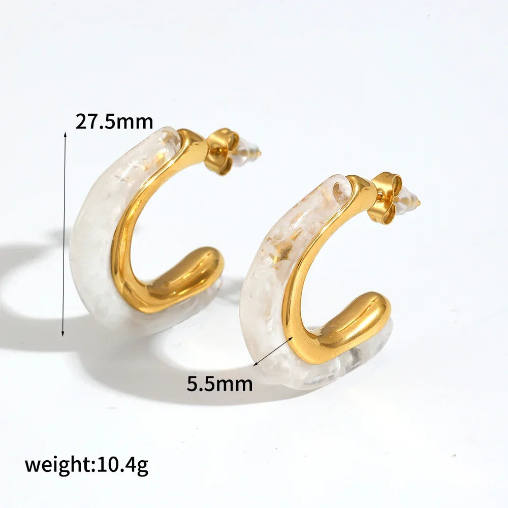 Sovict Brown Resin Geo Earrings