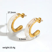 Sovict Brown Resin Geo Earrings