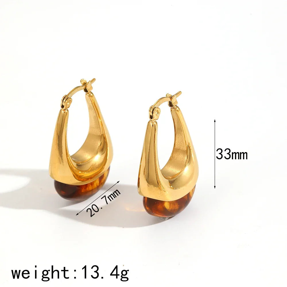 Sovict Brown Resin Geo Earrings