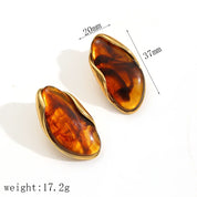 Sovict Brown Resin Geo Earrings
