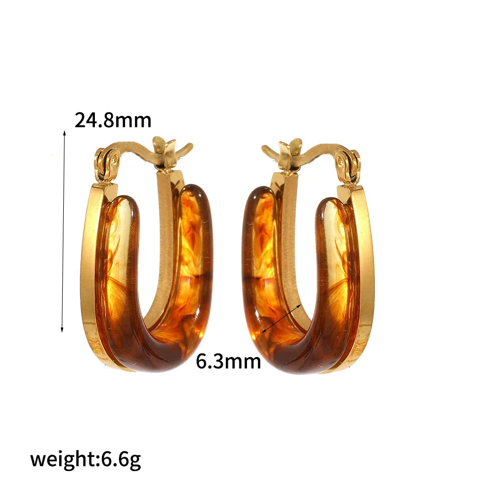Sovict Brown Resin Geo Earrings