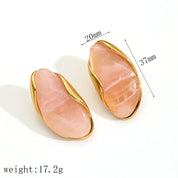 Sovict Brown Resin Geo Earrings
