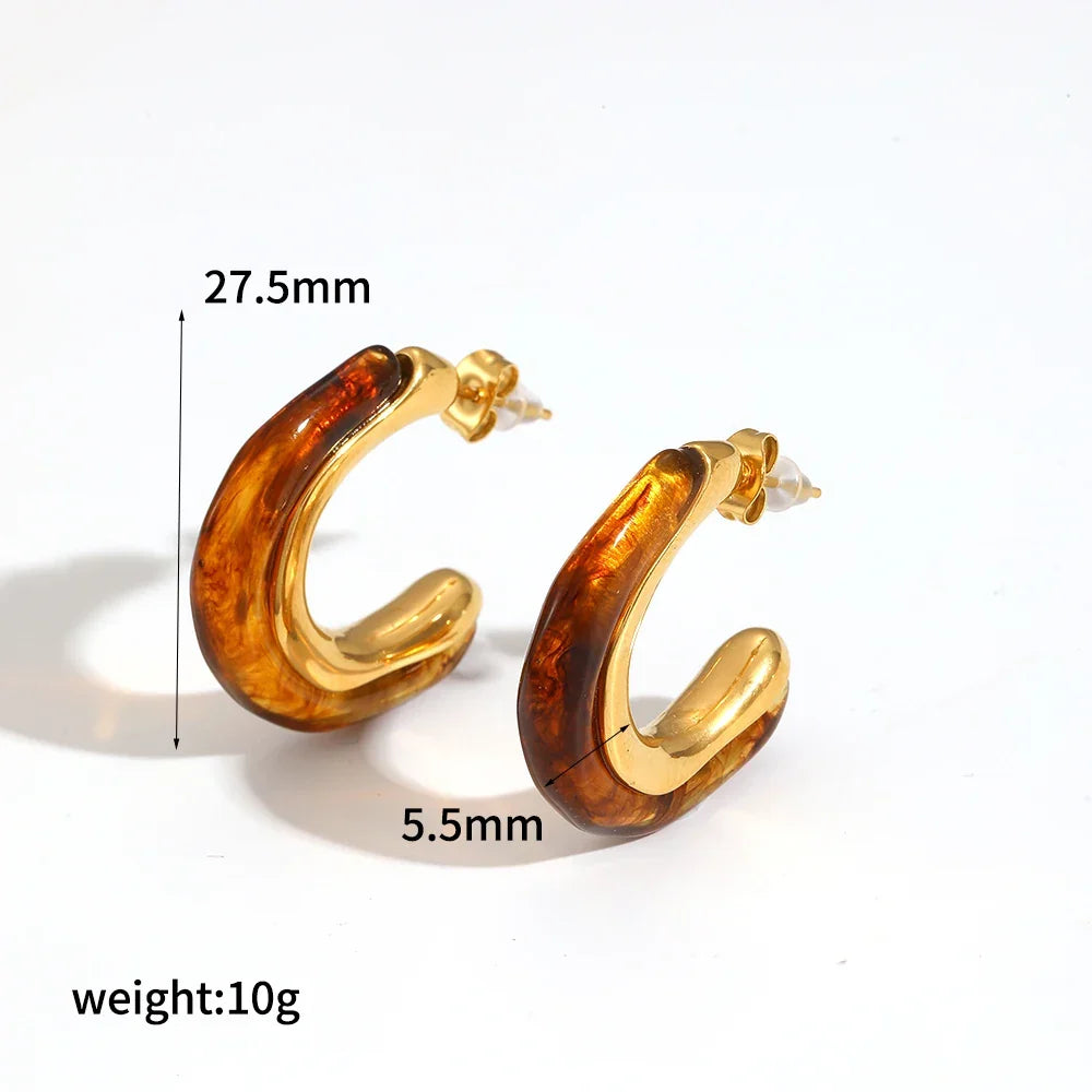 Sovict Brown Resin Geo Earrings